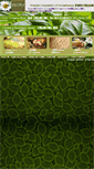 Mobile Screenshot of aaoaroma.org